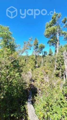 Parcela 5.000mts2 miramar bajo, puerto montt