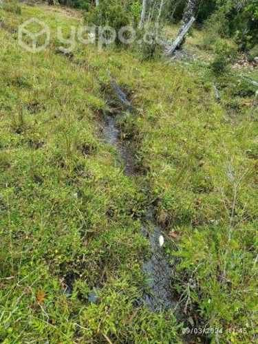 Vendo parcelas Chiloé