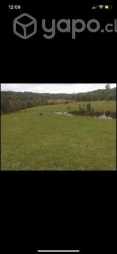 Vendo parcelas Chiloé