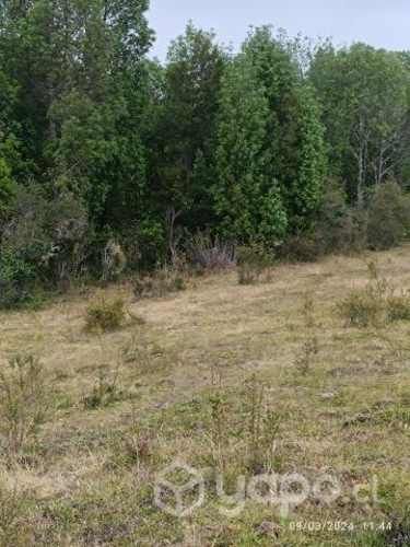 Vendo parcelas Chiloé