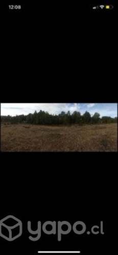 Vendo parcelas Chiloé