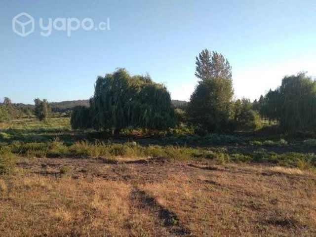 Parcela camino a Quillon a 50 minutos de Concepcio