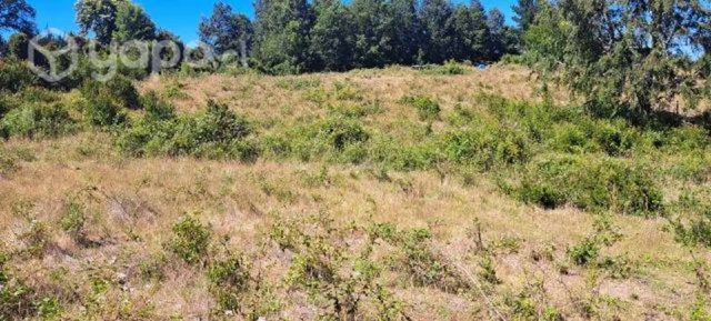 Parcel en Villarrica