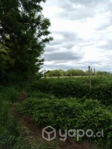 Parcela de 4 hectáreas