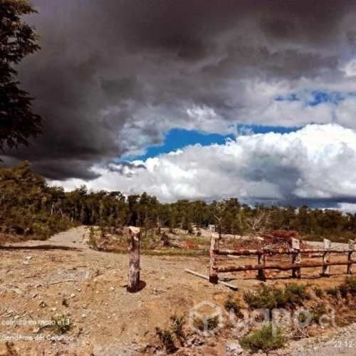 Vendo 1 hectárea en chiloe, cercano a ríos y lago