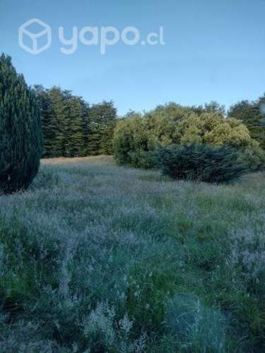 Sitio excelente en Puerto Varas