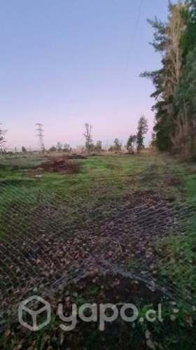 Terreno 5000 m2, sector el Naranjo, Salto del Laja