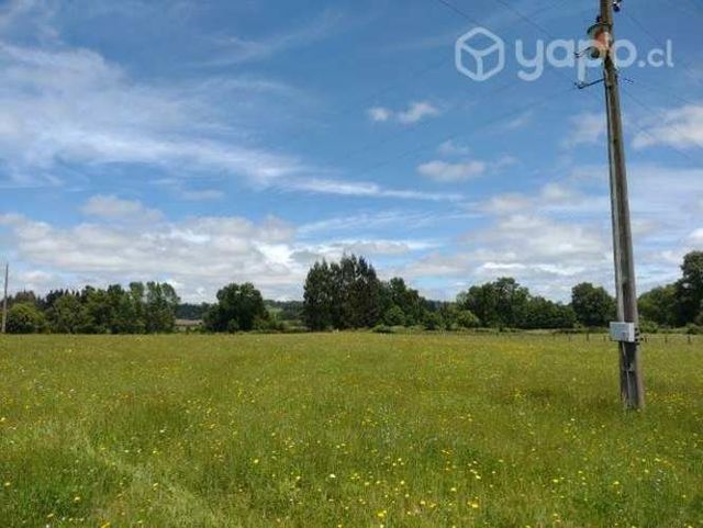 Se vende parcela 2 Hectáreas planas.Conversable