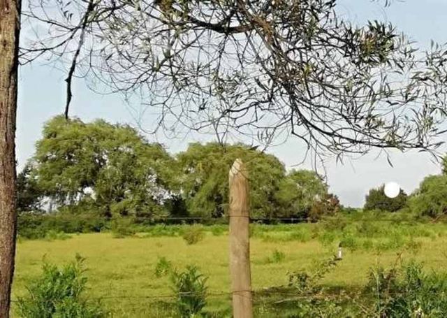 Terrenos Exclusivos entreSan Carlos / Chillan a 3