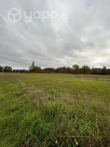 Vendo hermosa parcela en Chahuilco-Río Negro