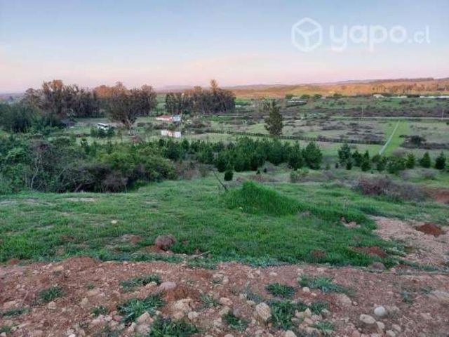 PARCELA 5000mts2 LITUECHE