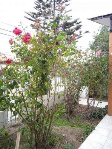 Pieza Estudiantes ULS Música, JBohn, AIEP,ST,Alba