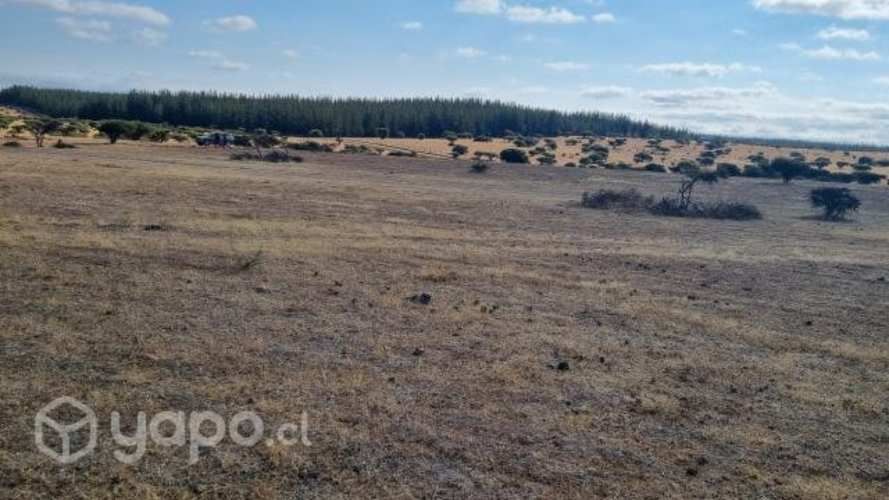 Terreno 5.000 metros2 Santa Inés de Mallermo