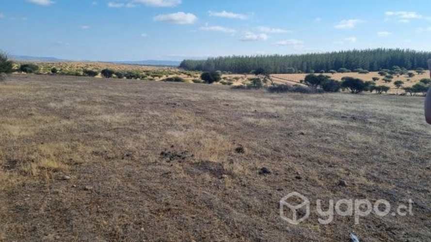 Terreno 5.000 metros2 Santa Inés de Mallermo