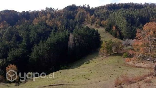 Se vende parcela de 17 hectáreas