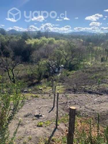 Terreno Rio claro - Yumbel 6.6 hec
