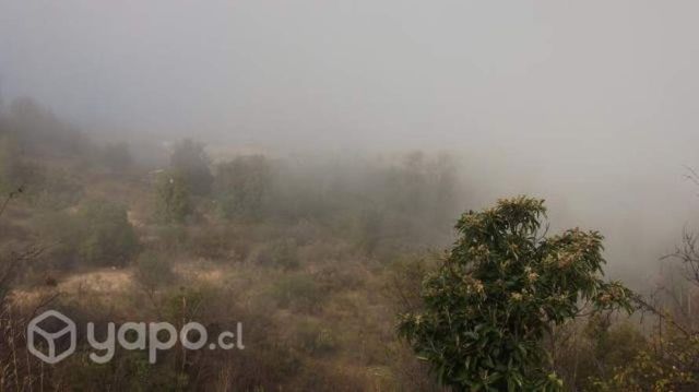 Terreno en venta, las palmas de olmue,