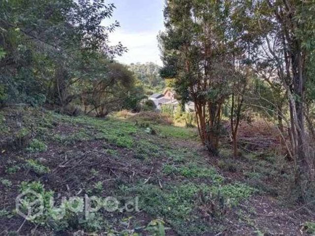 Vendo sitio de 1400 M2, camino a chinquihue km 14