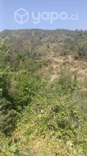 Terreno olmue ,las palmas