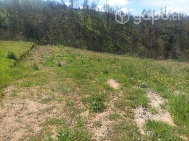 Hectárea en quillon