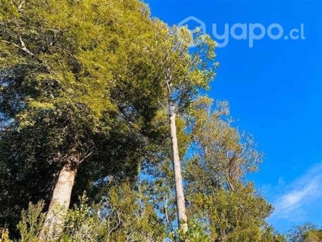 Parcela en venta en ensenada …