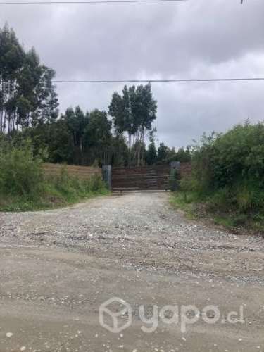 Excelente parcela en sector Torobayo