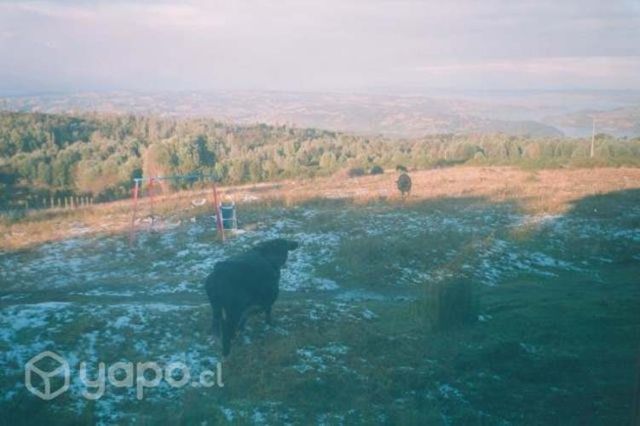 Casa Castro Chiloé, hermosa vista 10,5 hectáreas