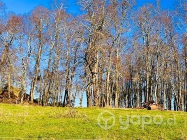 Parcela los maitenes …