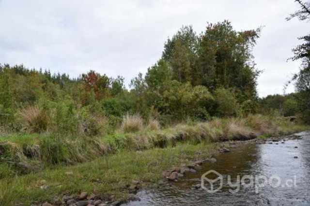 Terreno en Chepu, sector Las Huachas