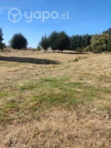 Parcela 5.000 mts2 a 10 minutos de Osorno