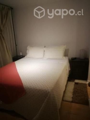 Arriendo dpto amoblado