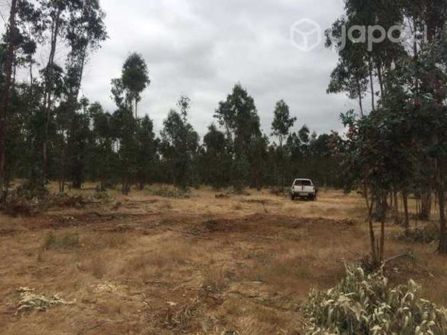 Vendo parcela de agrado