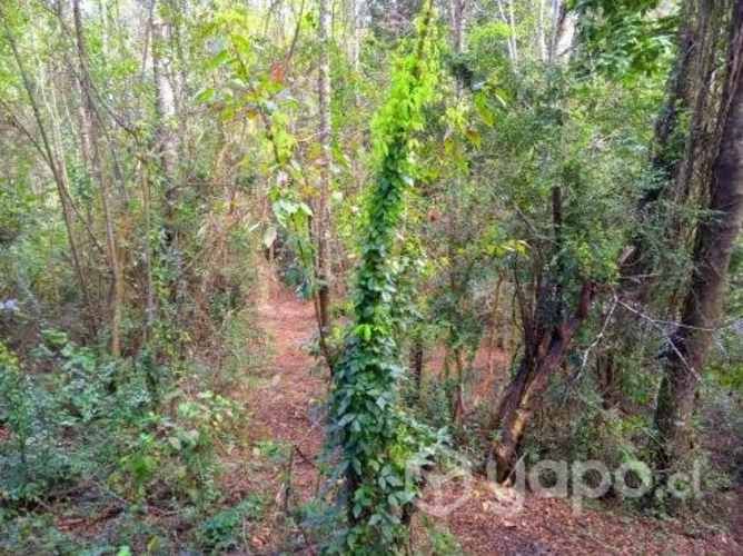 Venta de casa en Loncoche