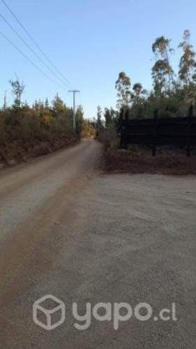 Parcela Pichilemu lago cahuil