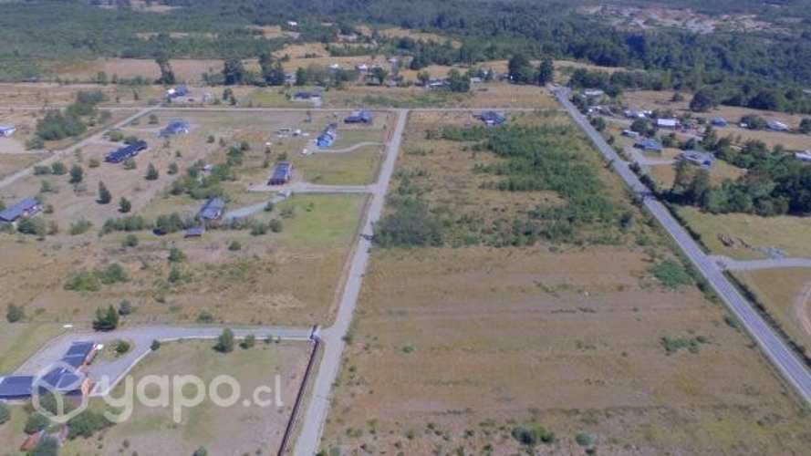 Venta de Parcela 5000 m2