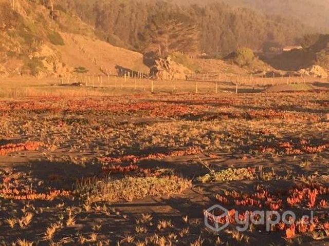 Vendo sitio en Cobquecura