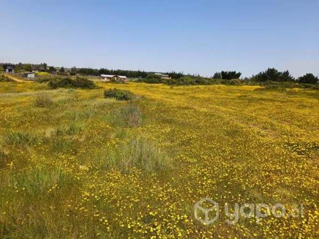 1/2 Ha Parcela Isla del Pangal, Pichilemu