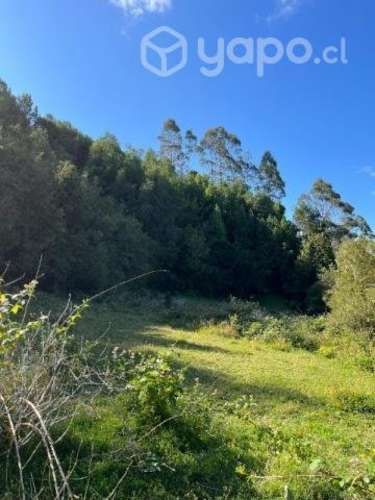 O permuto terreno de 0.5 hectáreas