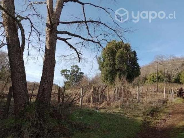 Terreno 3 hectáreas