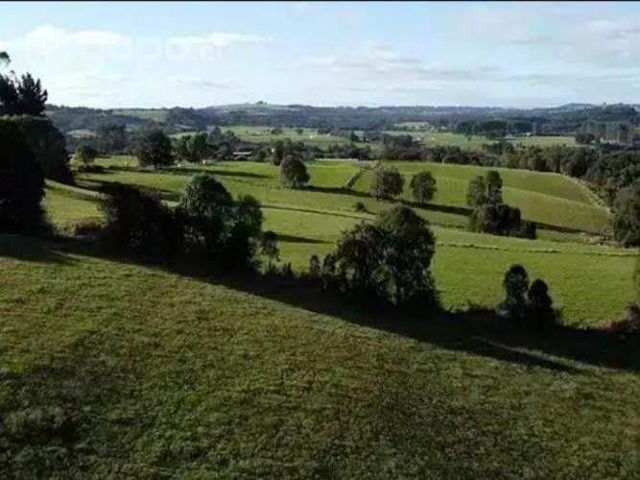 Se vende parcela de 1 hectárea