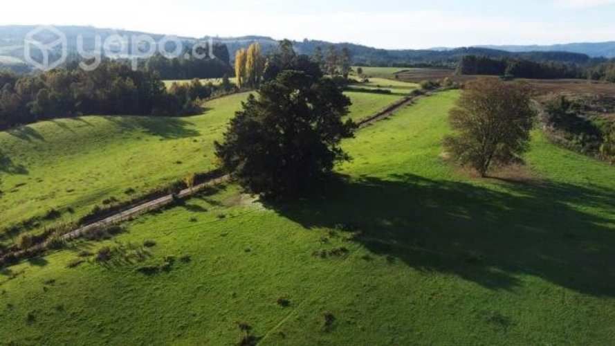 Proyecto Fundo los Cerezos