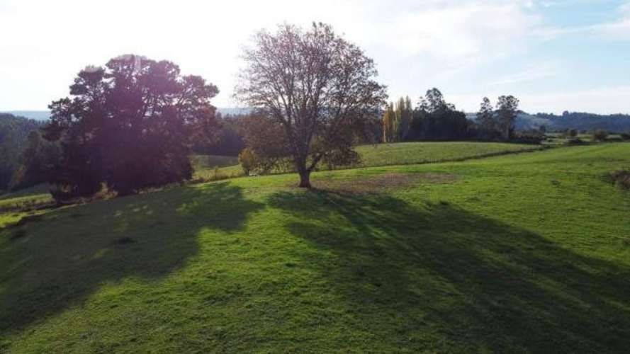 Proyecto Fundo los Cerezos