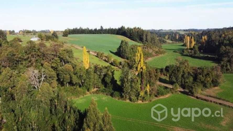 Proyecto Fundo los Cerezos