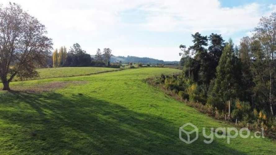 Proyecto Fundo los Cerezos