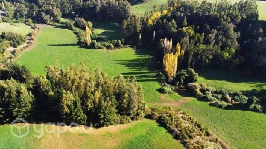 Proyecto Fundo los Cerezos