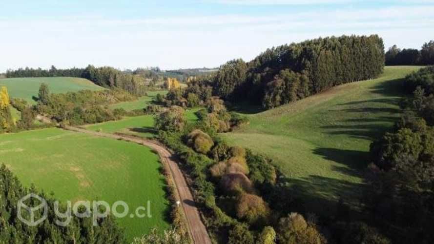 Proyecto Fundo los Cerezos