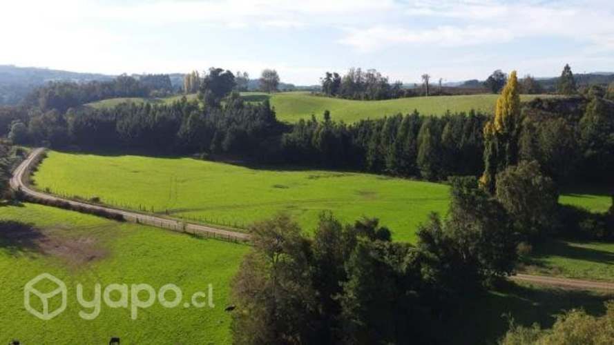 Proyecto Fundo los Cerezos