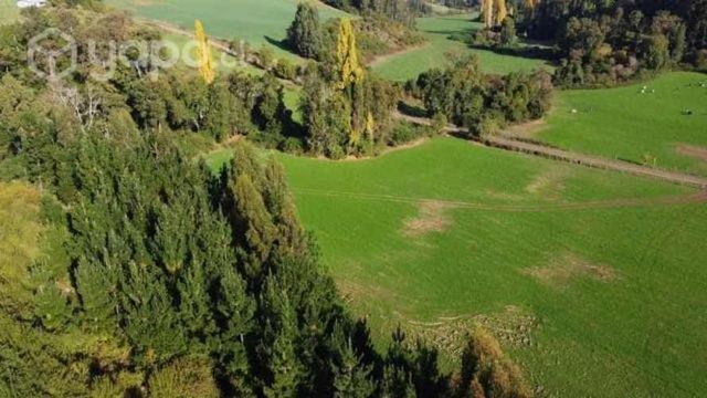 Proyecto Fundo los Cerezos