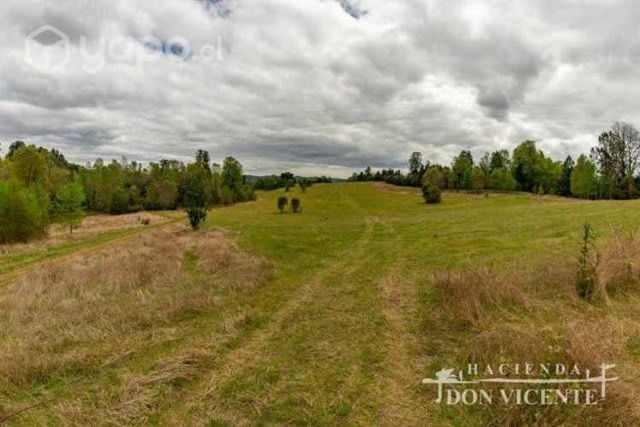 Se vende parcela 1 ha. camino a Antilhue
