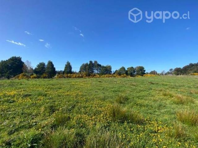 Se vende terreno 5000 m2 - coquiao, ancud, chiloe